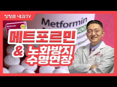 제15강: 메트포르민 (metformin) 과 노화방지 수명연장,  값싼 당뇨 치료제의 노화 방지 효과 실화냐?