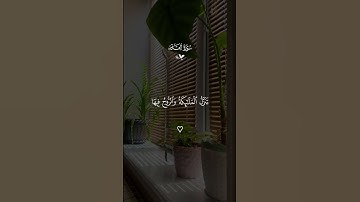 سورة القدر _ القارئ ياسر الدوسري