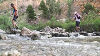 V Trail Gestalgar