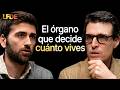 Nefrólogo: La Hormona que Frena tu Envejecimiento Está en un Órgano que Ignoras