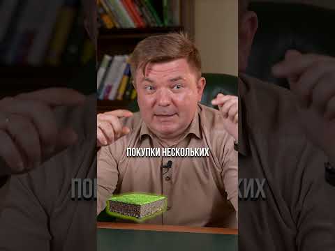 НЕДВИЖИМОСТЬ vs ОБЛИГАЦИИ: какие инвестиции прибыльней в 2024? #инвестиции #деньги #недвижимость