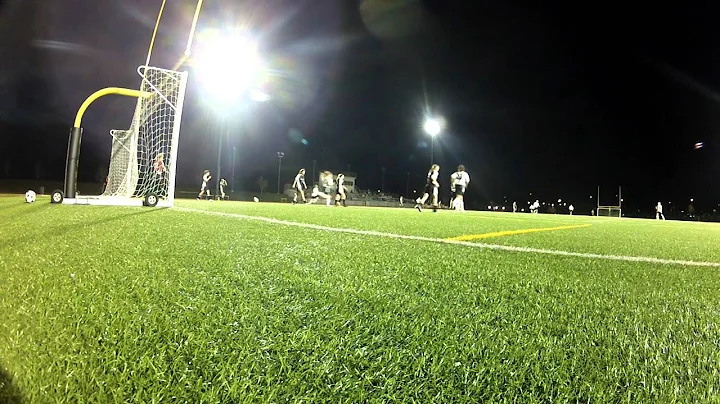 Danielle Schmitz, Ft Zumwalt East game-tying goal