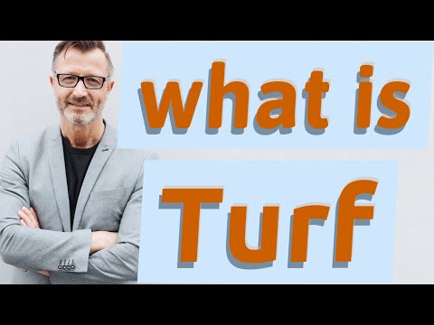 Turf | Meaning of turf