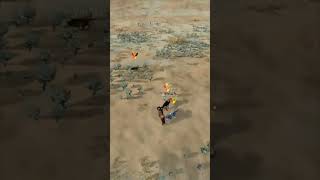 Wolf fight!
