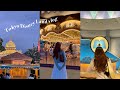 sub・vlog|ディズニーランドでの1日🎠🥨朝ごはんからお土産購入まで🎪🌼