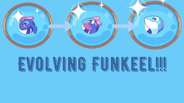 Evolving Funkeel!!!