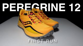 Peregrine 12 - First Run