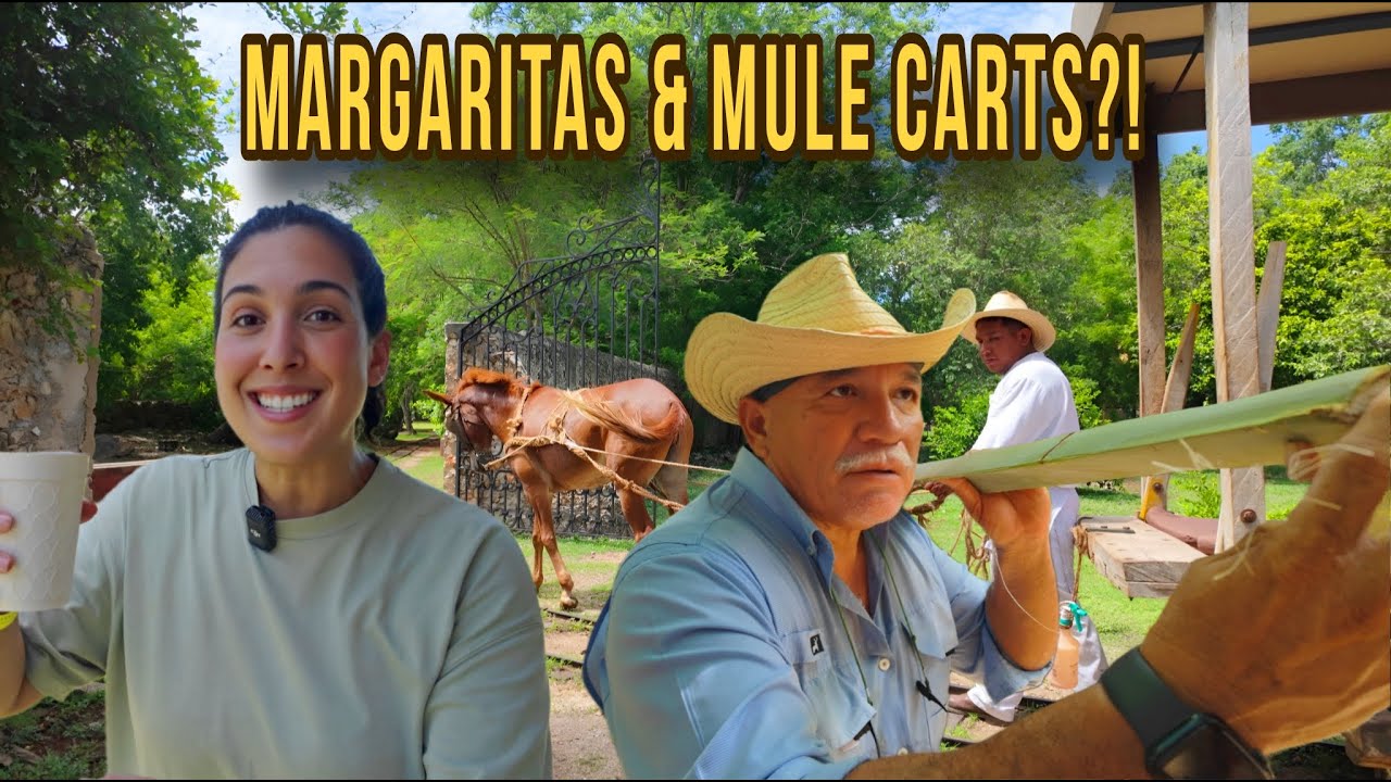 A Day at a Living Hacienda: Agave Fields, Cenotes & Yucatecan Food 🇲🇽 