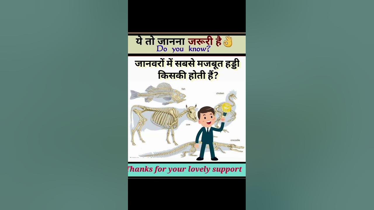 sabse-majboot-haddi-kiska-hota-hai-paheli-paheliyan