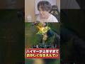 【 LoL 】ハイマーで神プレイ→リアクションがやばすぎるw #shorts #lol #leagueoflegends