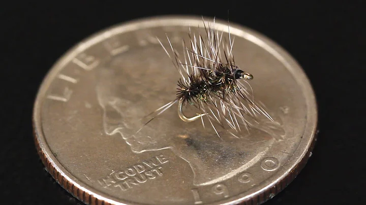 Griffiths Gnat