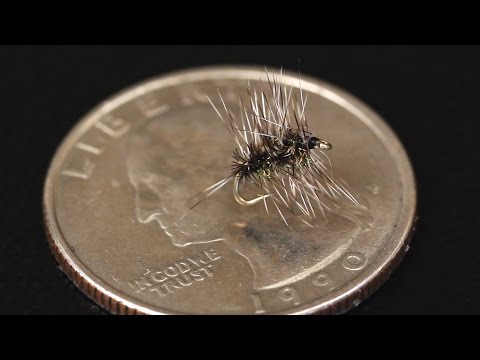 Griffiths Gnat