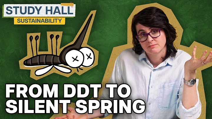 Can You Legalize Sustainability? | Sustainability 17 of 31 | Study Hall