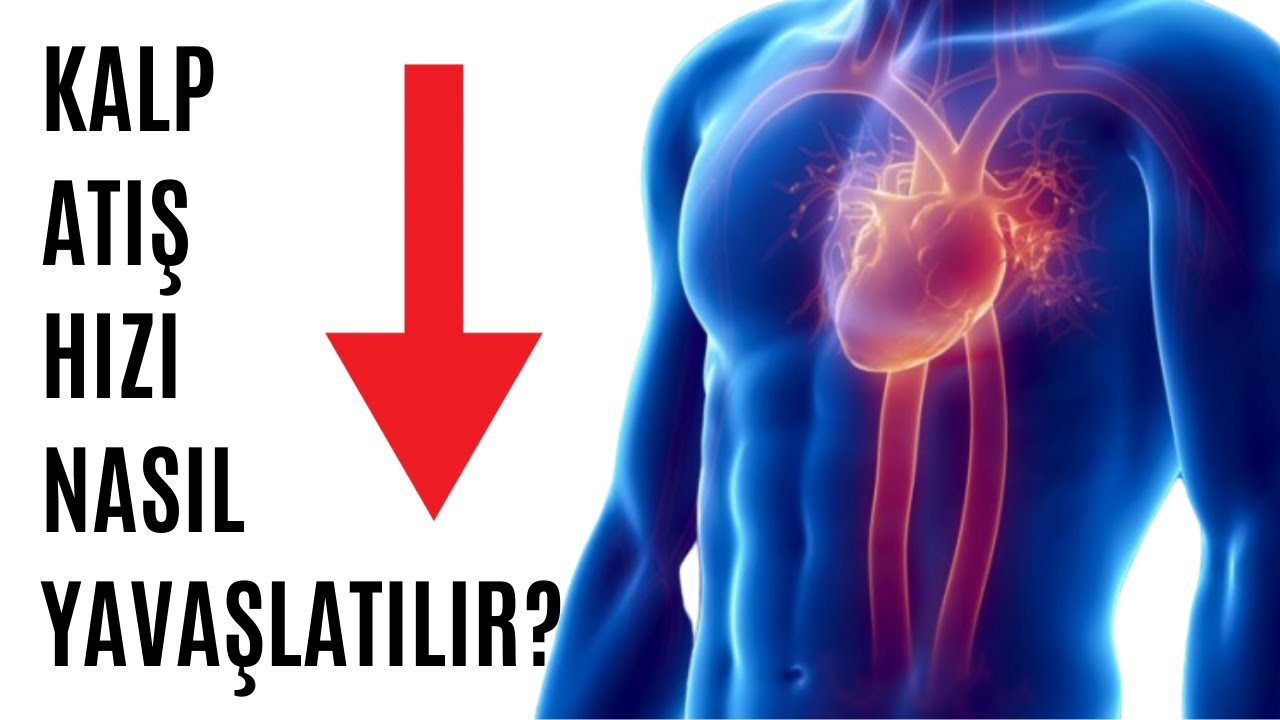 kalp hızı ideal kutsal kalp sağlığı sistemi logosu