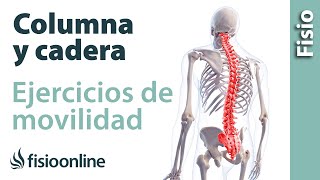 Ejercicio de alineación de columna y movilidad de cadera