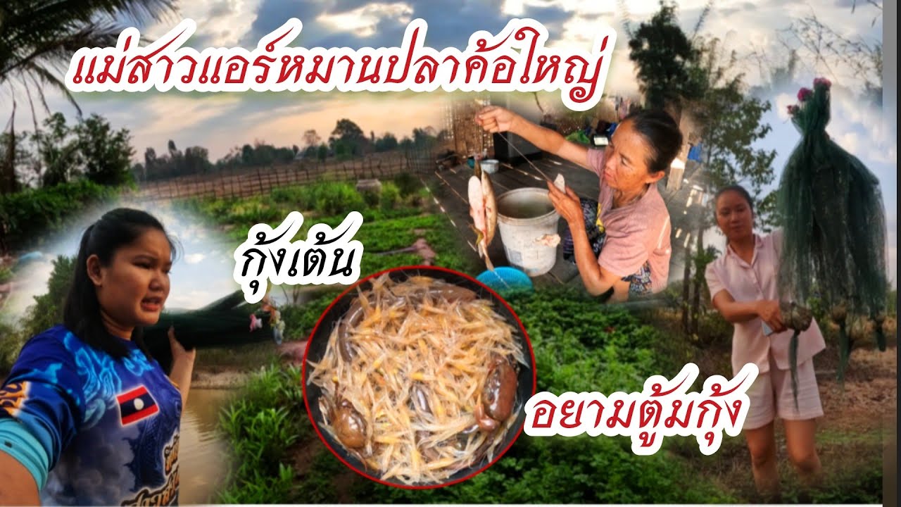3 มีนาคม ค.ศ. 2026อยามตุ้มกุ้งหมานปลาไหลแม่สาวแอร์ได้ปลาค้อใหญ้//ຍາມຕຸ້ມກຸ້ງຫມານປາອຽ່ນ