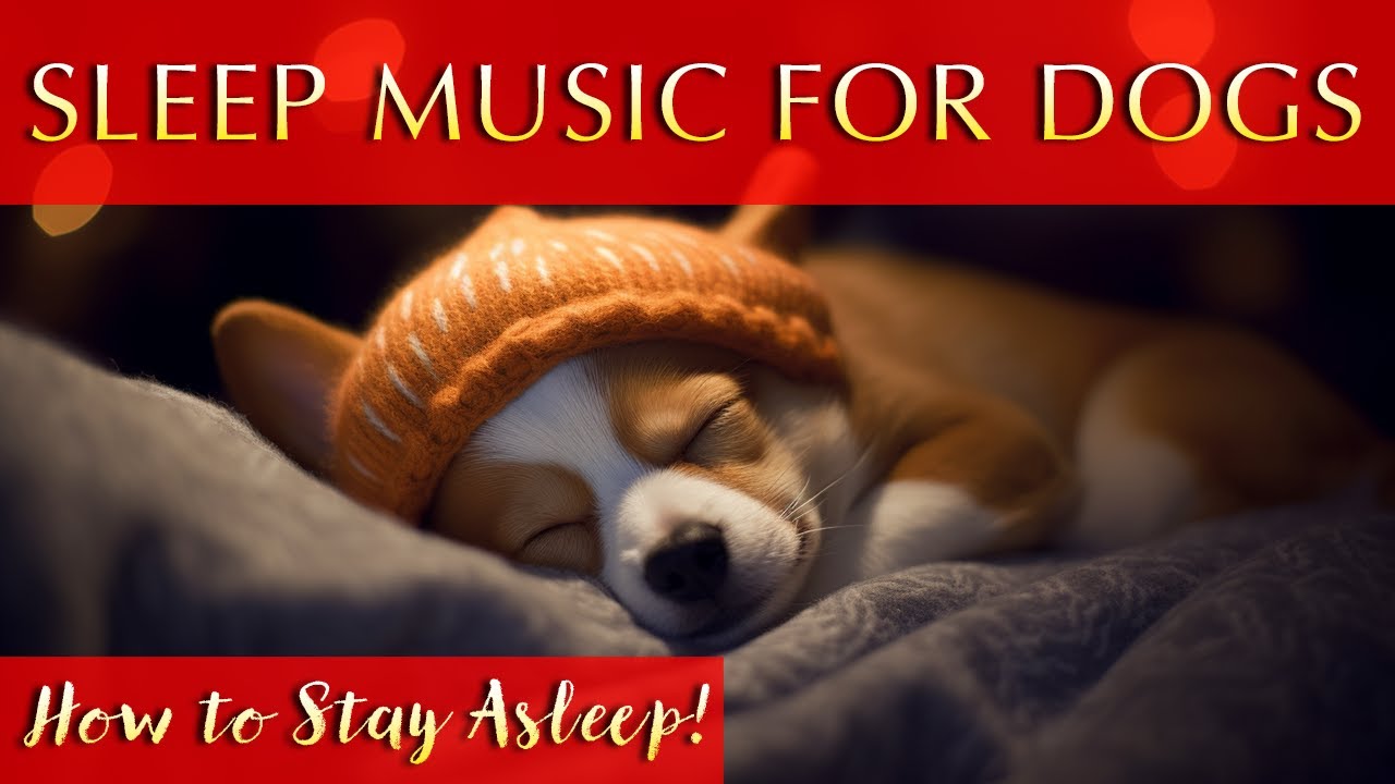 Dog Sleep Music 🐶 12 hours of Relaxing Music to Keep Your Dog Asleep