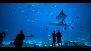 10 Best Travel Destinations in Philippines - Luzon