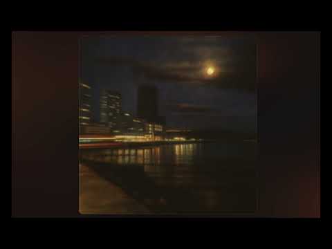 Metaignorante La Ciudad De Noche