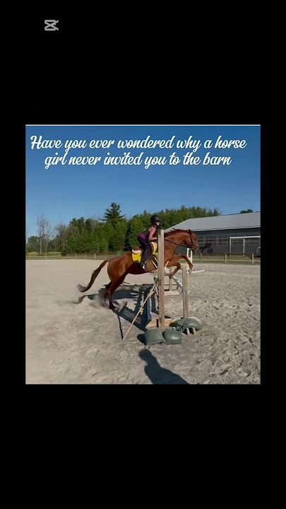 Download lagu Oops I did it again #horse #equestrian #horsetube