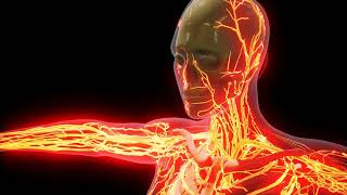 Abstract EDM - So Close [NCS Music - No Copyright Sounds]