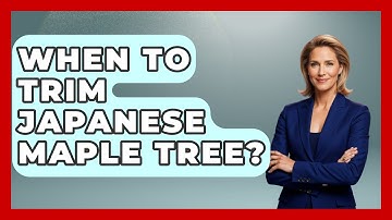 When To Trim Japanese Maple Tree? - The Plant Enthusiast