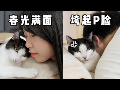 Hostess VS. Host! What Is The Cat&rsquo;s Reaction? | SanHua Cat Live