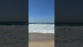 20220922 (tiny surfers)