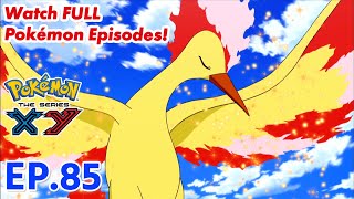 Pokémon the Series: XY | EP85 A Legendary Photo Op!〚Full Episode〛| Pokémon Asia ENG