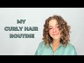 Short Curly Hair Routine