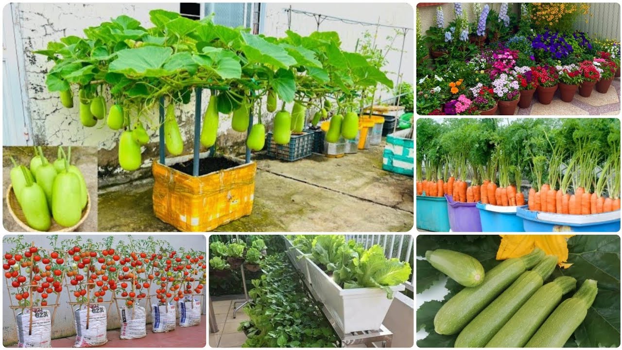 أسرار الزراعة المنزلية و الأسطح ببساطة 🏡🧺🍅 تحضير التربة +التسميد  وزراعة 8 خضروات #دليل_المبتدئين