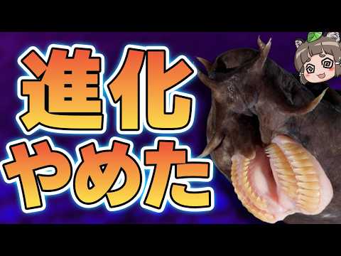 【奇妙】ヌルヌルヤバヤバな激ネバ生物「ヌタウナギ」を知ってますか?