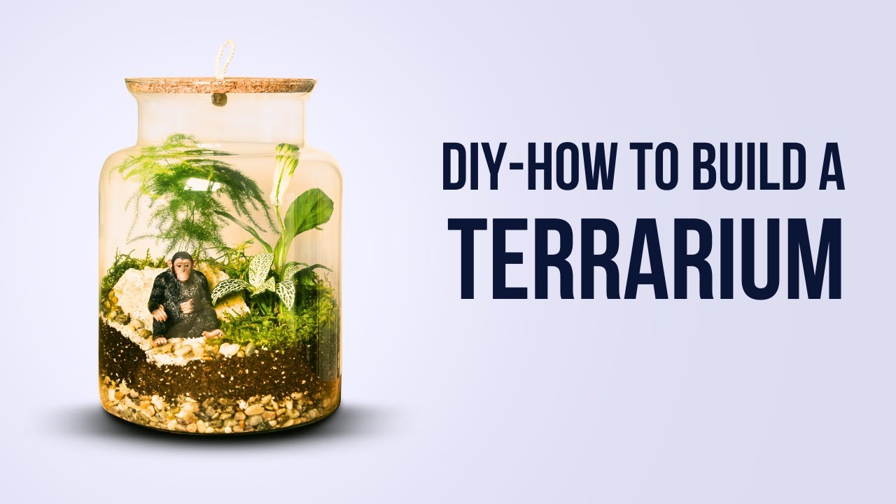 Glass Gardens: How to craft Your Own DIY Terrarium! Our Step-by-Step ...
