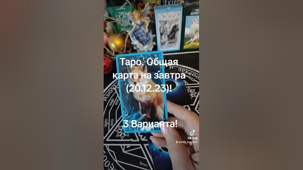 Таро. 🔮Общая карта дня на завтра (20.12.23)! 3 Варианта! - YouTube