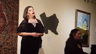 Show your world show in NYC 20171208 3 Anna Kolkhida