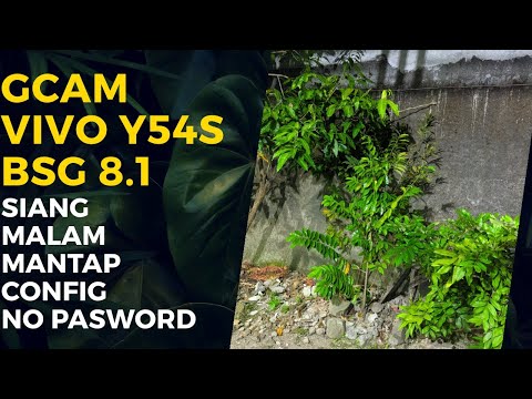 Gcam vivo y54s mode malam dan siang mantap | Bsg 8.1 no force close (Gcam)