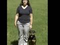 Dog Training Has Never Been Easier Or More Fun. Dog Training Has Never Been Easier Or More Fun.