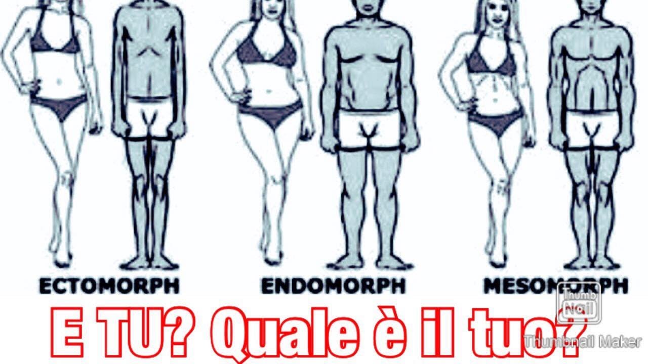 Como Saber Se Sou Mesomorfo Ectomorfo Ou Endomorfo