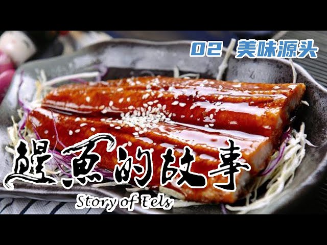 纪录片《鳗鱼的故事 The Story of Eels》第二集：美味源头
