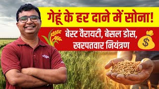 Gehu ki kheti 💰 गेहूं में हर दाना बनाएगा आपका बैंक बैलेंस | Gehu ki top variety | AgroStar screenshot 5