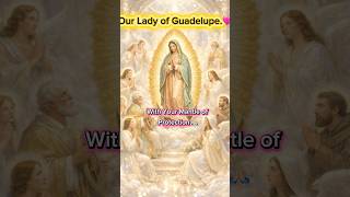 Beautiful hymnal to Our Lady of Guadelupe 🙏🏼❤️ #blessedvirginmary #worship #music #novena #ourlady