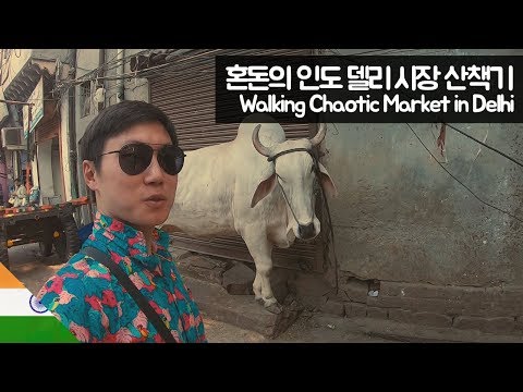 혼돈의 인도 델리 시장 산책하기 - 유라시아【38】