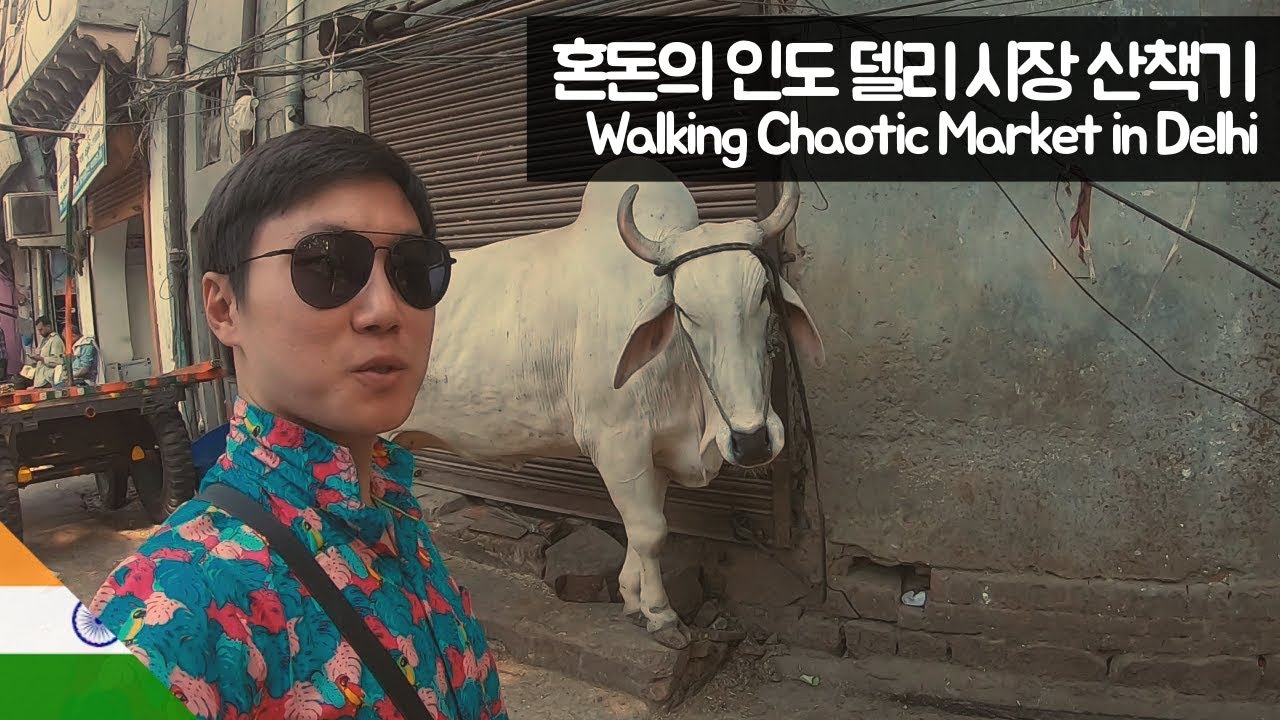 혼돈의 인도 델리 시장 산책하기 【유라시아38】