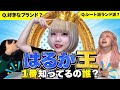 【白熱な戦い】はるかを1番知るのは誰？第二回はるか王！！！