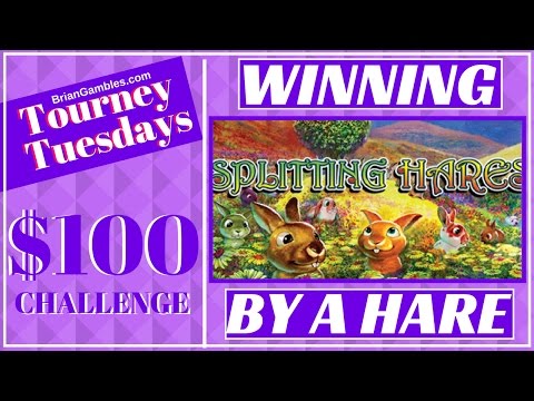 Winning by a Hare ✦NEW Tourney Tuesdays LIVE PLAY✦ Slot Machine Pokies