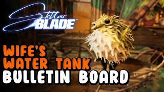 Wife's Water Tank Bulletin Board Request | Stellar Blade