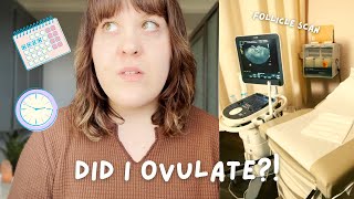 Round 5 of Letrozole (Part 2) | Did I ovulate?