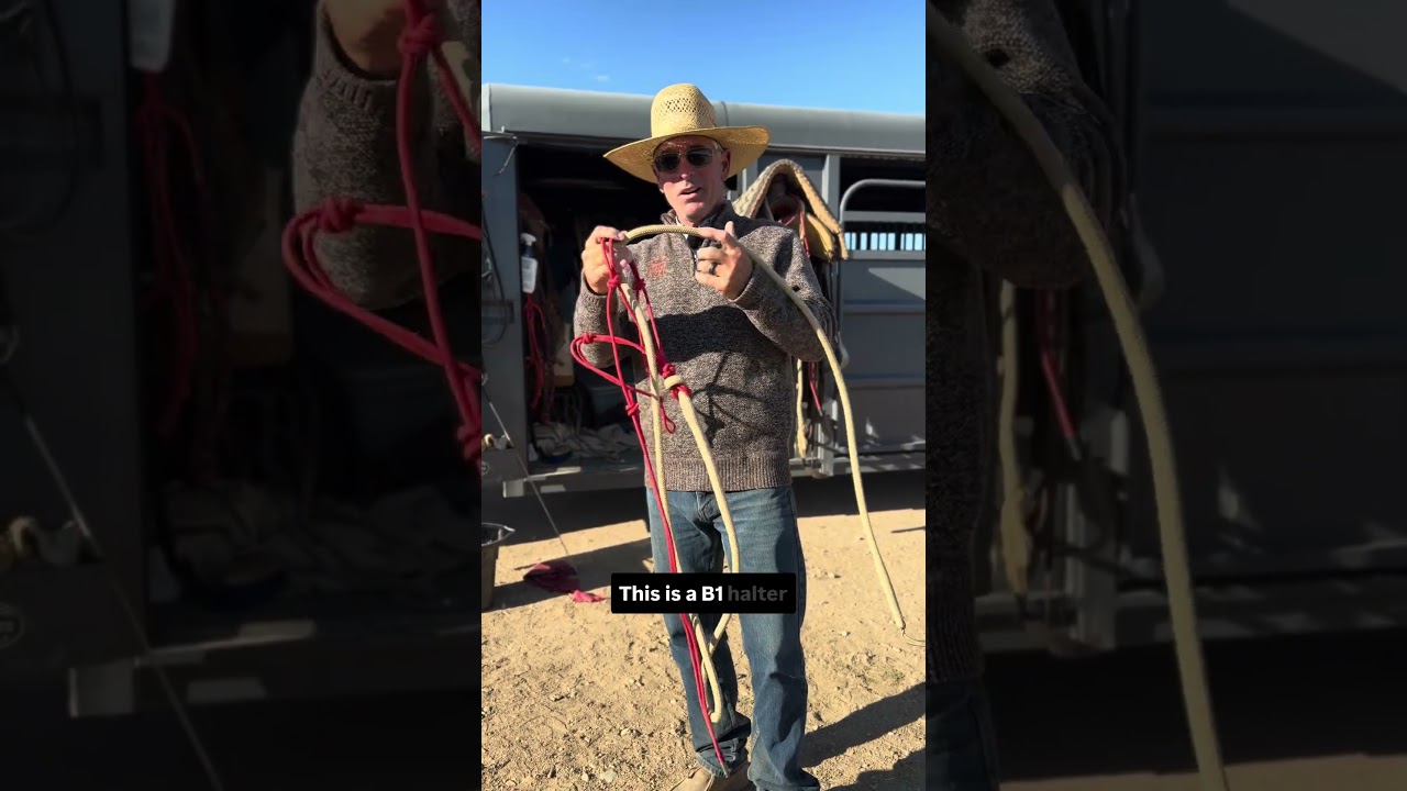 Why No Snap Leadrope