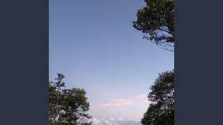 Download Lagu Tumbuh lebih baik MP3