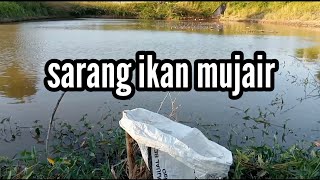 meski cuaca panas tetep semangat mancing #mancingmania#tkimalaysia